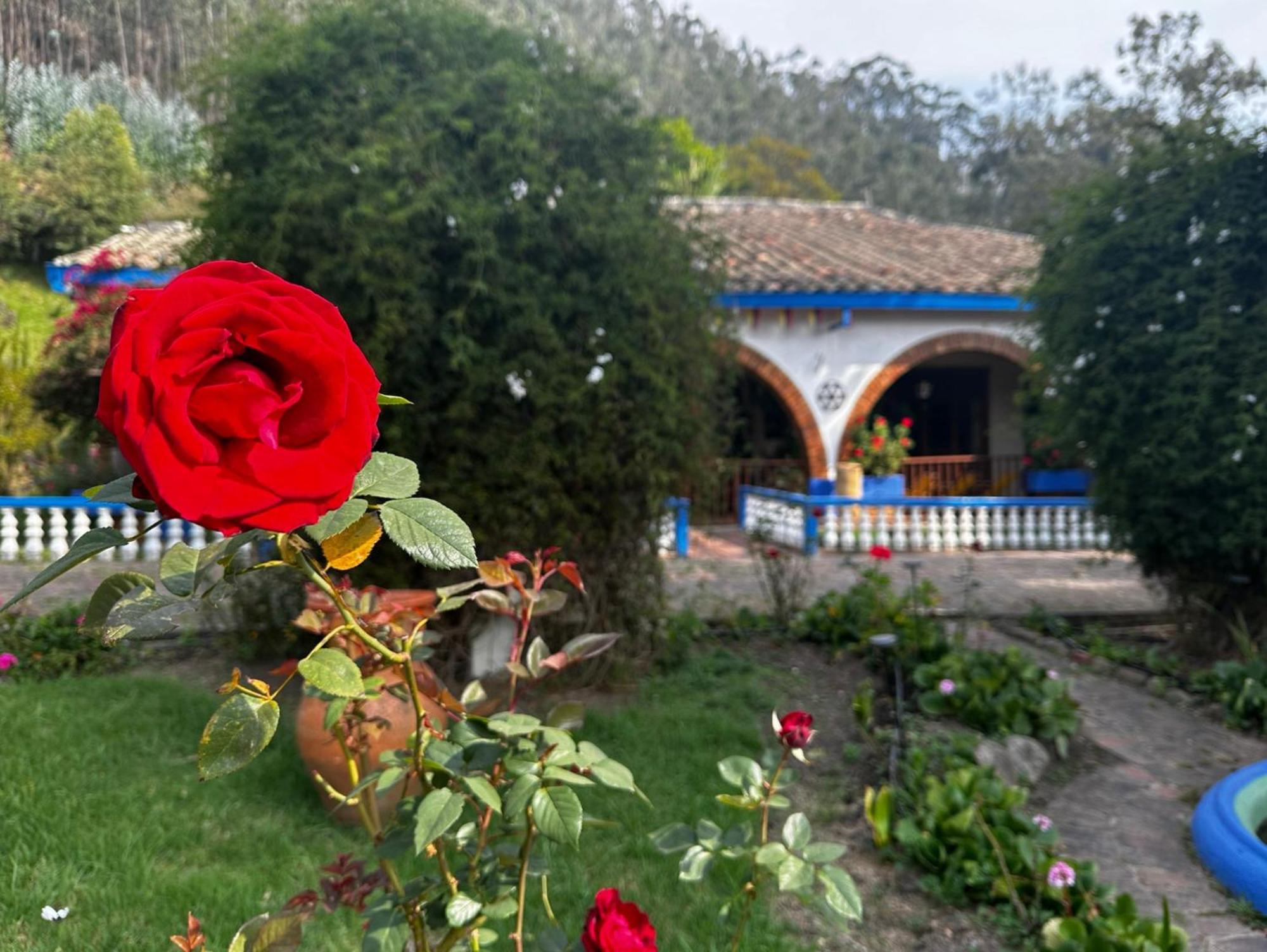 Finca San Pedro -Alojamiento Campestre Y Reserva Natural- Sogamoso Luaran gambar